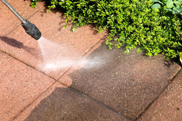 Best Exterior Home Cleaning  in Glen Rose, TX